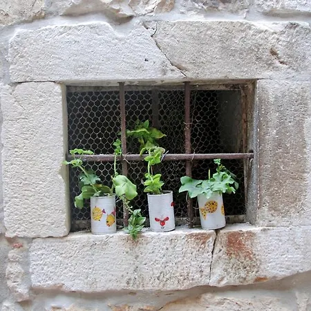 Rooms & Studio Stipcic Πανσιόν 3*